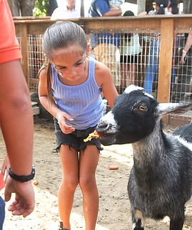 Innovation & Technological Entrepreneurship Team